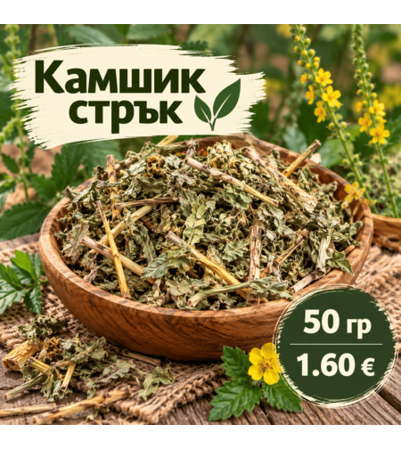 Камшик – стрък