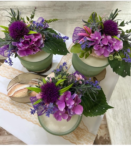 Зелена с ЛИЛАВА хортензия