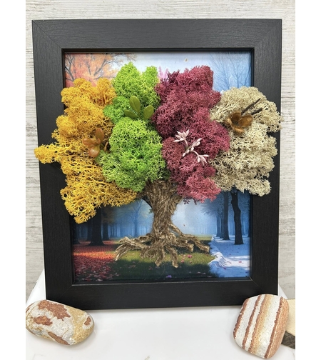 БЪЛГАРИЯ - четирите сезона