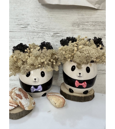 Панда със скандинавски мъх