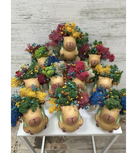 Кашпа капибар със скандинавски мъх