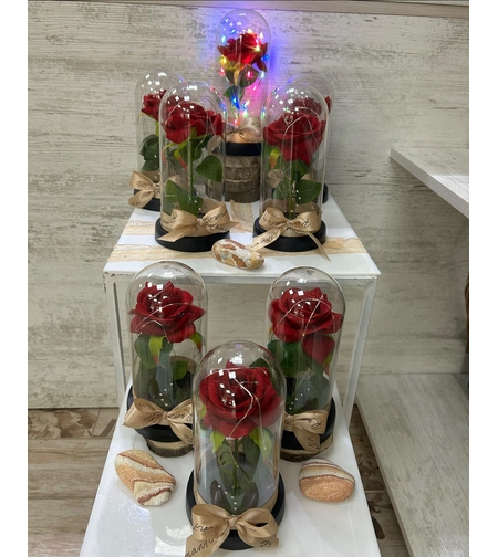 СВЕТЕЩА ВЕЧНА РОЗА