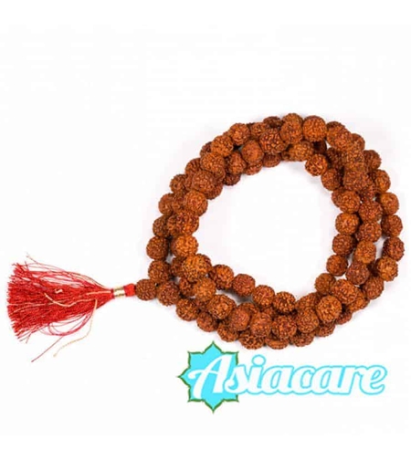 Рудракша мала - класическа молитвена броеница от 108 семена рудракша