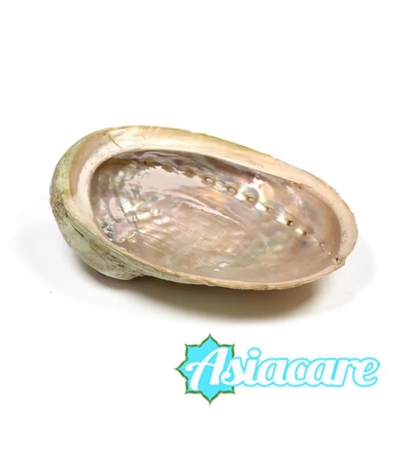 Мида Абалон за горене на салвия и пало санто