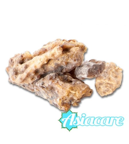 Тибетски тамян, сал, (Shorea robusta, sal dhupa) 10 гр