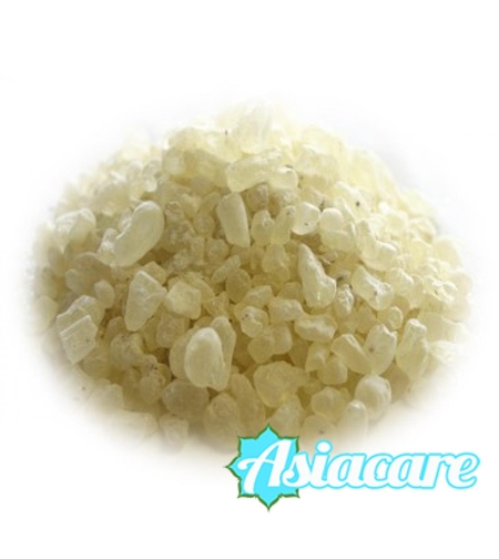 Благороден тамян Дамар, Dammar (Shorea wiesneri) 10 гр.