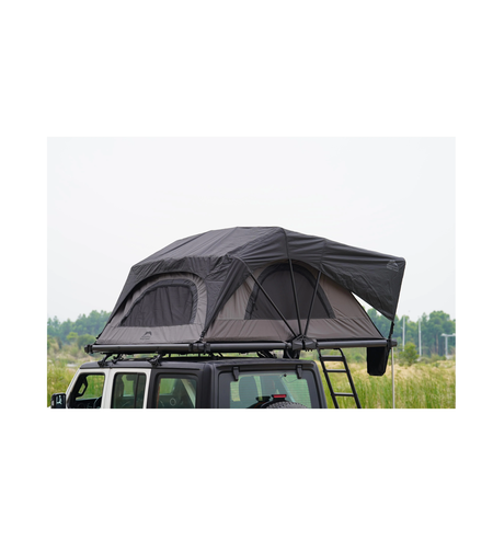 Wild Cruiser Pro 250