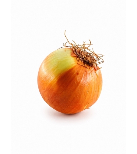 Лук