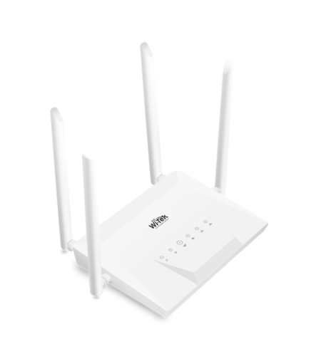 WI-LTE300
