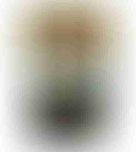 black Manzalino Olive