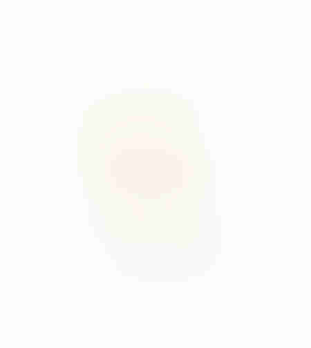 AROMA DELIGHTS ARTIFICIAL FLOWER FOAM PVC CRE H7