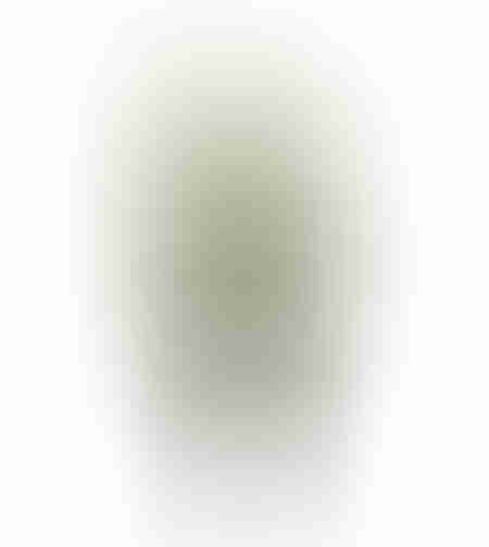 BAMBOO ARTIFICIAL PLANT POLYESTER PVC GREEN H70cm