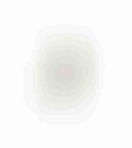 AROMA WISHPER ARTIFICIAL FLOWER FOAM PVC G GRE