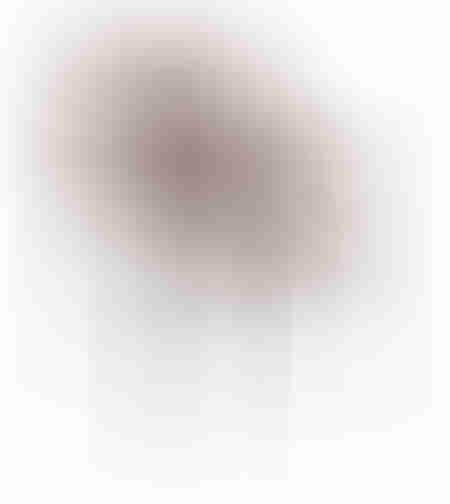 MONTE CHAIR FABRIC BROWN CREAM METAL BLACK MATTE E1 PRC