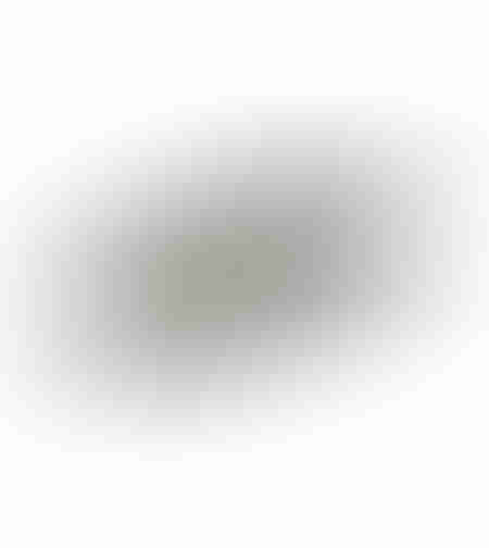 MANDY TRAY ALUMINIUM SILVER MATTE 39x19xH1cm IN