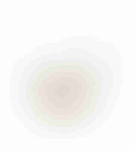 XMAS POWDER SQUIRREL 1 SQUIRREL POLYFOAM FABRIC WH