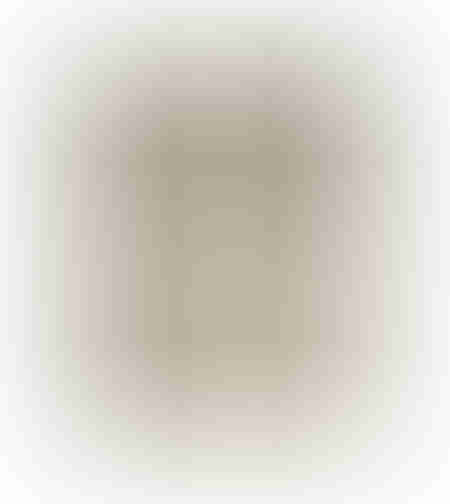 SHANKAR CARPET NATURAL 200x300cm IN
