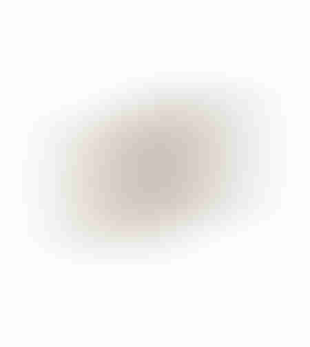 ORLY FLAT TRAY ALUMINIUM CHAMPAGNE 49x19xH2cm IN