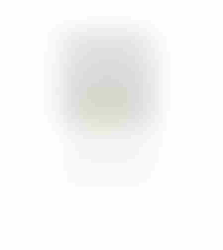 BROWN 2 ARTIFICIAL FLOWER EVA FOAM BROWN H76cm PRC