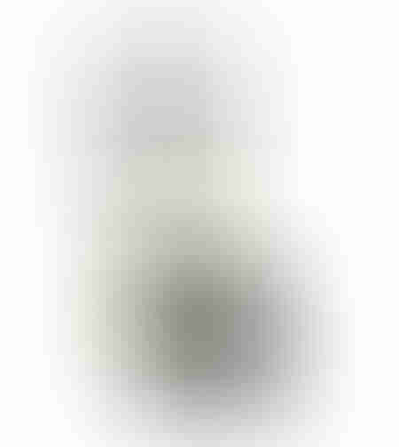 IPURO ESSENTIALS BLACK BAMBOO FRAGRANCE EU