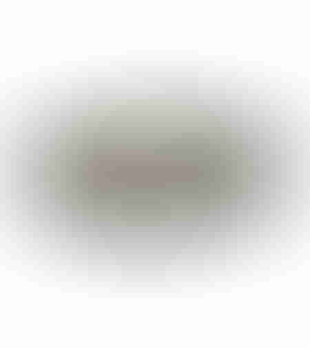 PERI TRAY ALUMINIUM SILVER MATTE D40xH2cm IN