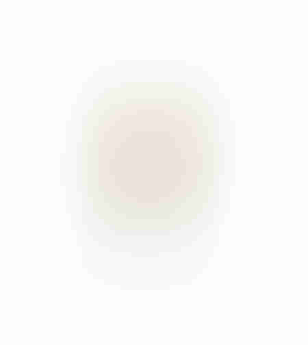 AROMA ESSENCE ARTIFICIAL FLOWER FOAM PVC B GRE