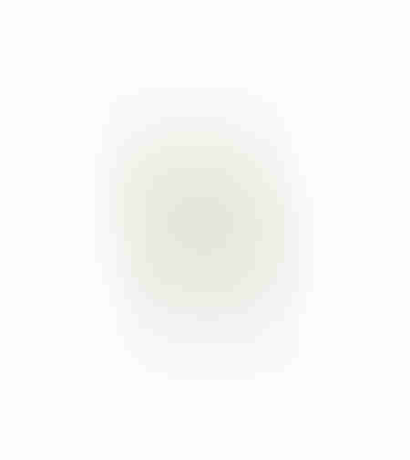 AROMA DELIGHTS ARTIFICIAL FLOWER FOAM PVC CREAM H8