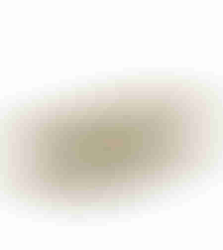 ARTIOM BOWL DECORATIVE 49x19x10 ALUMINIUM GOLD