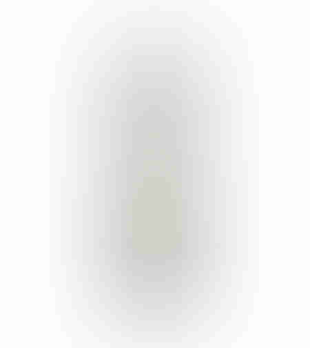 BREATH OF ART 2 PAINTING CANVAS BEIGE GOLD WOOD FR
