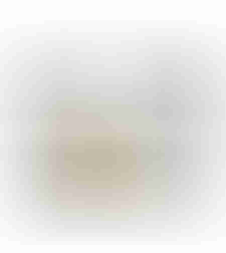 BOTLI 1 PAINTING CANVAS MULTICOLOR WOOD FRAME WHIT
