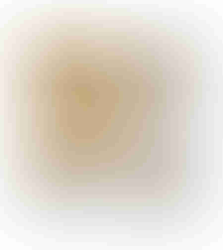 FESTOS 2 DECO PAINTING CANVAS GOLD WHITE GOLD 82x8