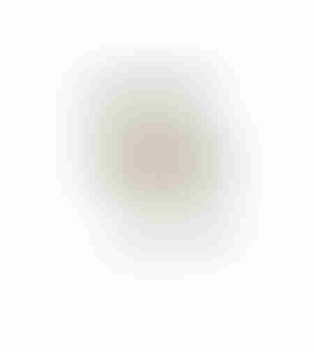 AROMA BLOSSOMS ARTIFICIAL FLOWER FOAM PVC BROWN