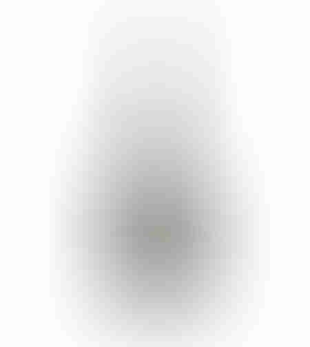 PEQUENA DECORATION VASE 16x8x37.5 POLYRESIN GREY