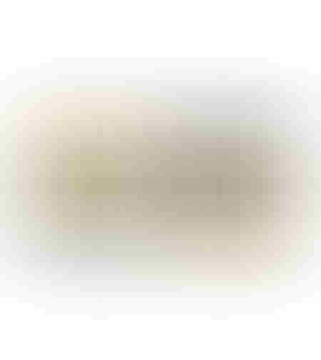 KLIMT PAINTING SET 2PCS MDF MULTICOLOR PAPER FRAME