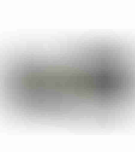 POWER OF FREEDOM B PAINTING CANVAS BEIGE BLACK FRA