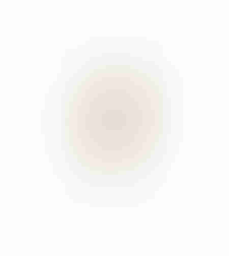 XMAS OH DEER BRANCH 6 BRANCH BEIGE PRC