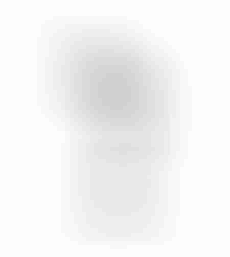 LIBELLULA DECO INSECT ALUMINIUM BLACK 32x24xH54,5c