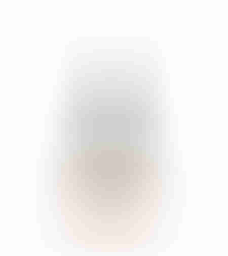 XMAS WINT TREE ALUMINIUM WOOD MANGO SILVER NATURAL