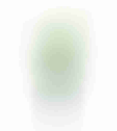 PEARL MALLOW ARTIFICIAL PLANT IN POT FABRIC PVC GR