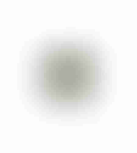 XMAS ANTHUR FLOWER POLYESTER BEIGE SILVER D40cm PR