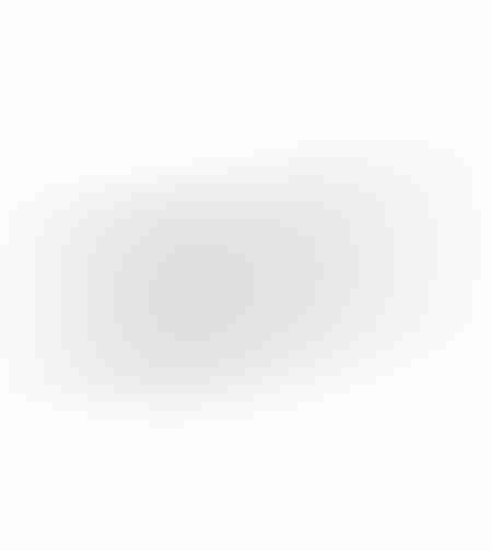 RICUS BOWL ALUMINIUM SILVER 54x15xH4cm IN