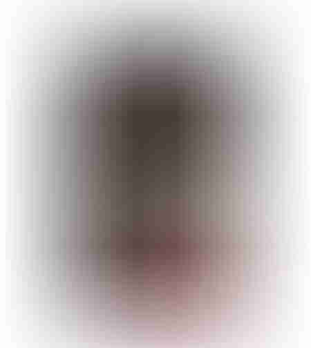 INTERNALITY PAINTING CANVAS MULTICOLOR WOOD 70x110