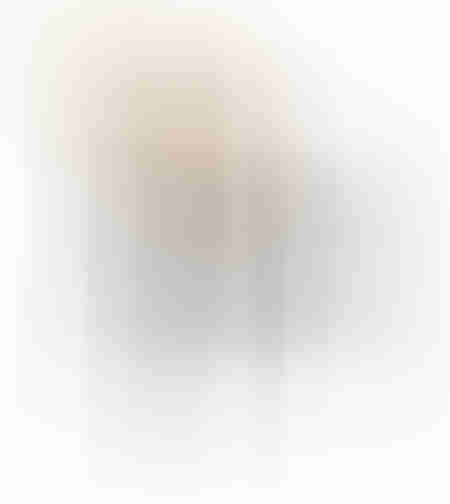 VIENNA CHAIR PP BLACK NATURAL PRC