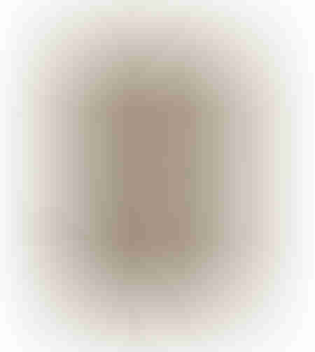 MAMBA CARPET JUTE NATURAL BLACK 200x300cm E1 IN