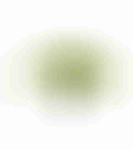 BOSTON FERN ARTIFICIAL PLANT POLYESTER PE/PP GREEN