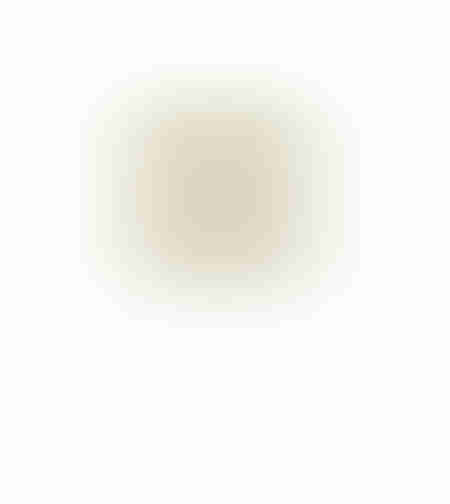 AROMA WISHPER ARTIFICIAL FLOWER FOAM PVC  H60