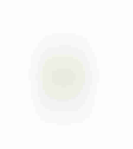 AROMA ESSENCE ARTIFICIAL FLOWER FOAM PVC BEIGE H67