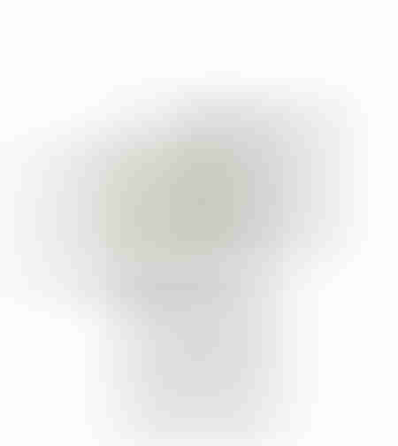 XMAS HANIEL ANGEL WITH WINGS POLYRESIN WHITE BEIGE