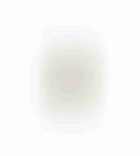 AROMA DELIGHTS ARTIFICIAL FLOWER FOAM PVC CREA GR