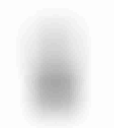 VITRO DECO POLYRESIN SILVER ANTIQUE BLACK 27x17,5x
